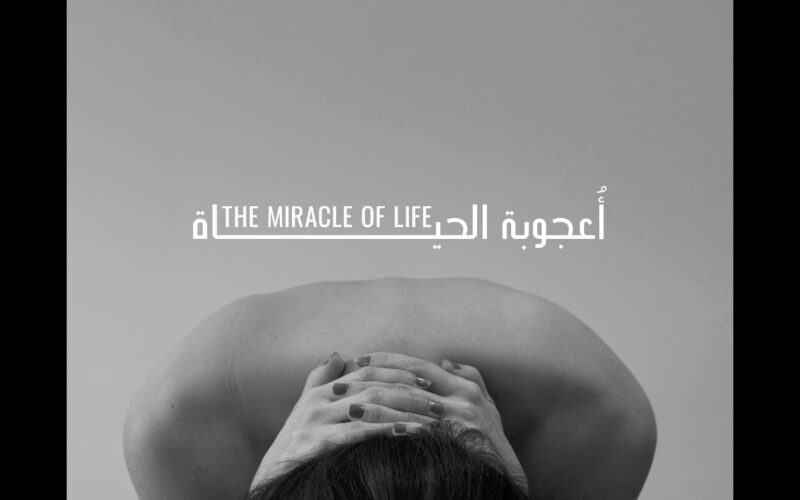 عقب عرضه في مهرجان بيروت.. فيلم أعجوبة الحياة يجسد صمت الحمل والحيرة!!
